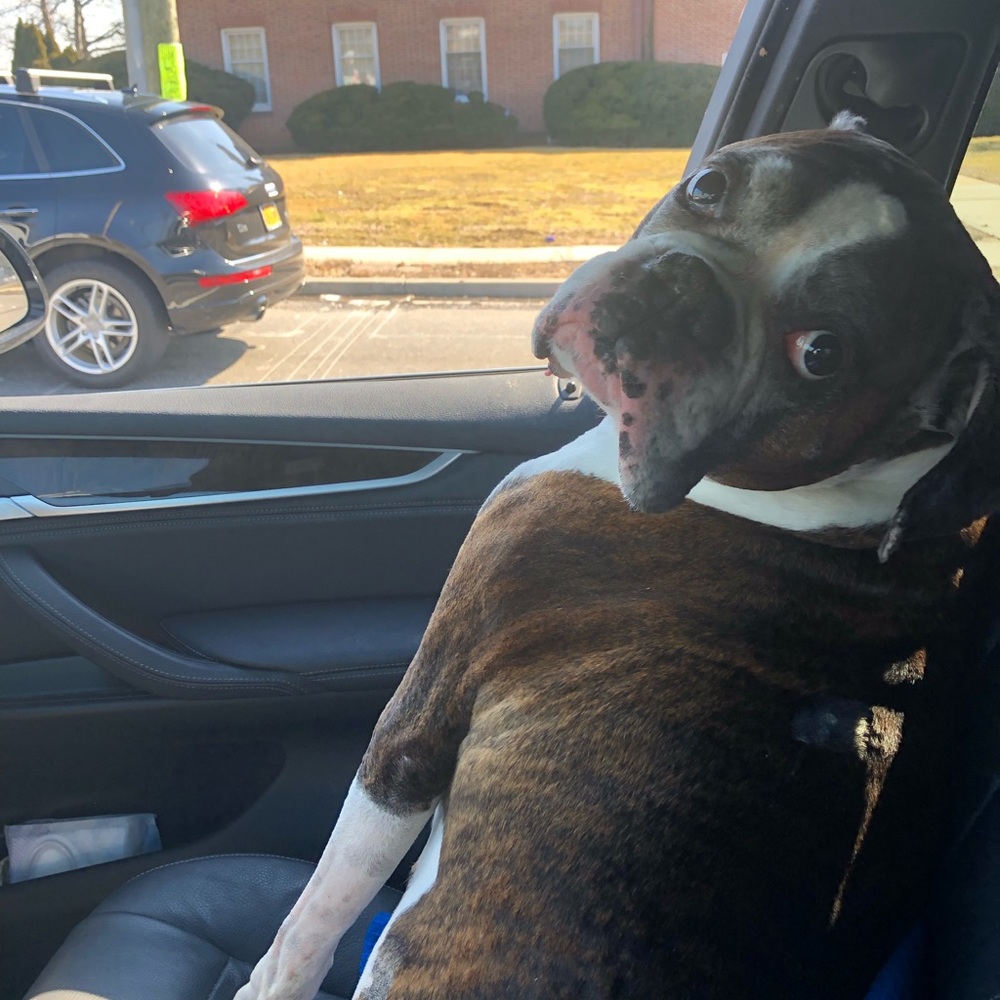 Meet your Posher, Susan